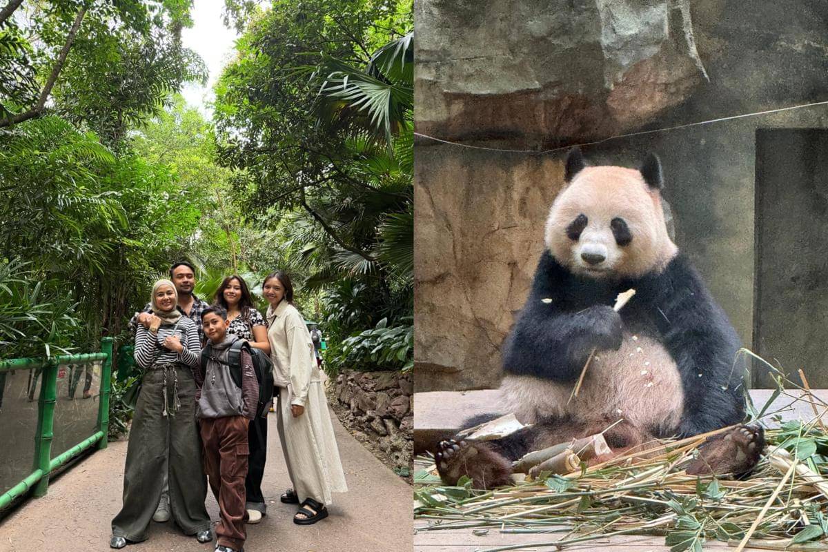 Meisya Siregar dan keluarga di Taman Safari Chimelong, Guangzhou, China