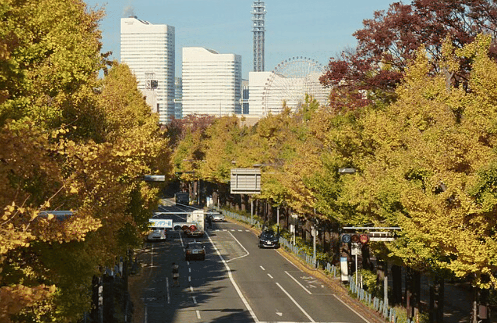 potret Yamashita Park, Yokohama, Jepang