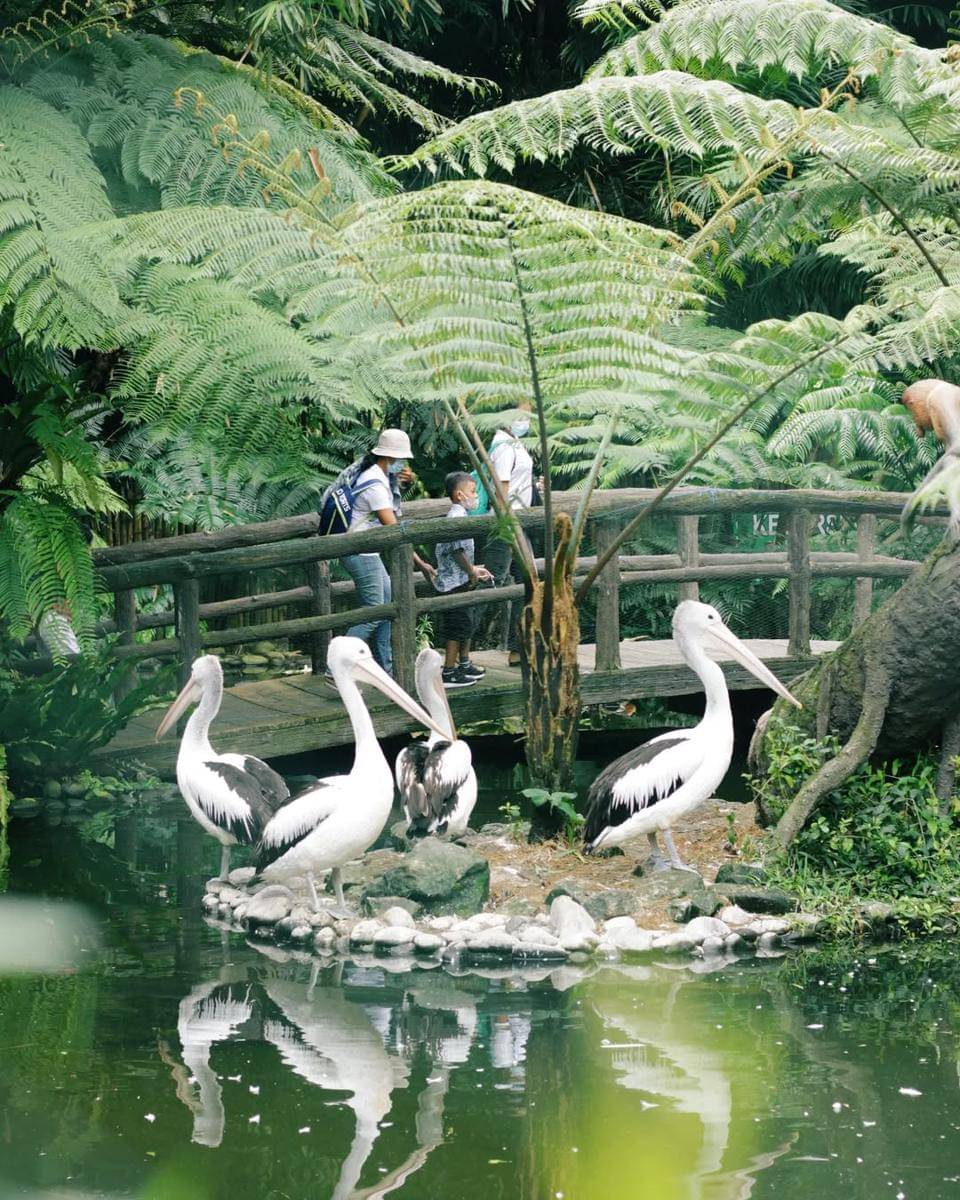 potret suasana di Tasta Zoo
