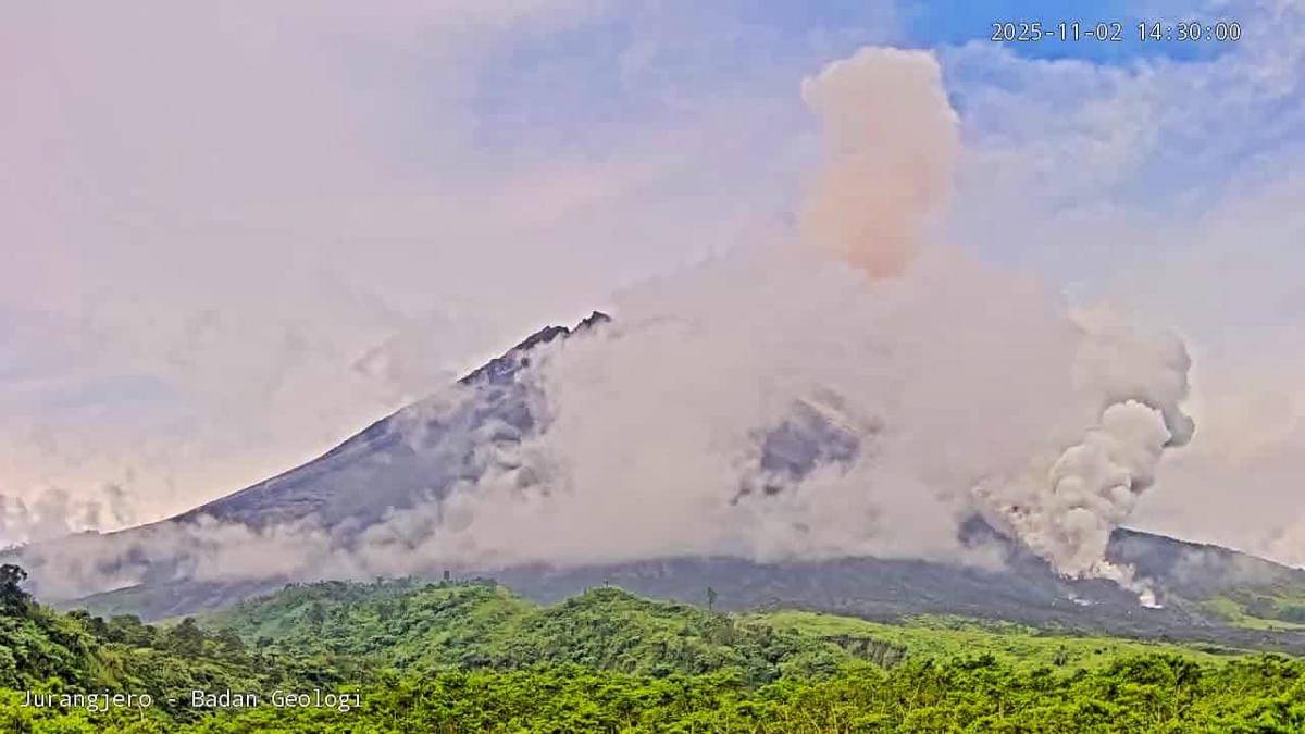 Awan panas guguran Gunung Merapi pada Minggu (2/11/2025)