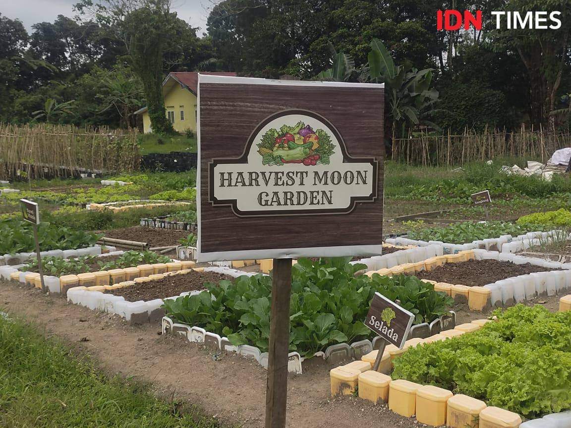 WhatsApp Image 2025-11-03 at 22.32.02.jpeg