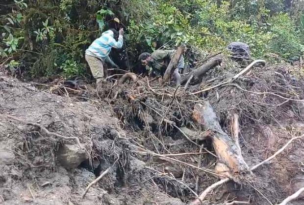 WhatsApp Image 2025-11-03 at 16.24.21.jpeg