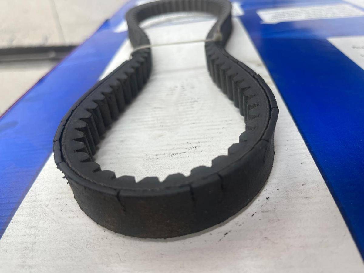 WhatsApp Image 2025-11-03 at 05.19.37.jpeg