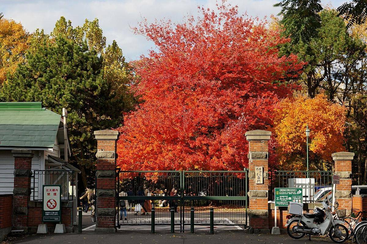musim gugur di Hokkaido, Jepang 
