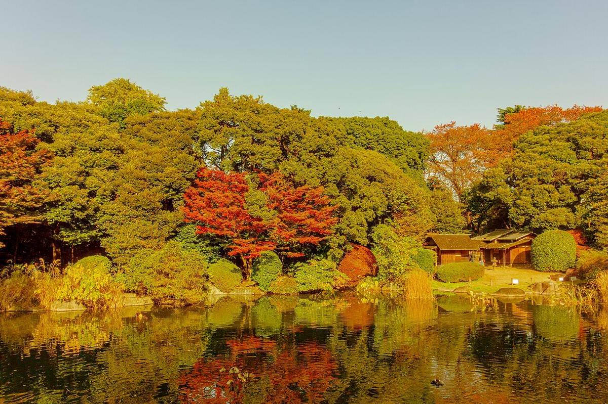 Ueno Park 