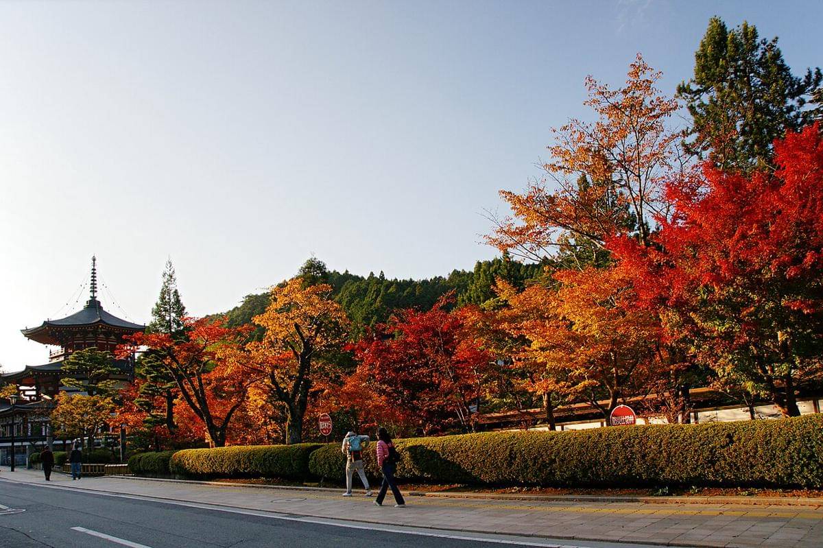 musim gugur di Jepang 