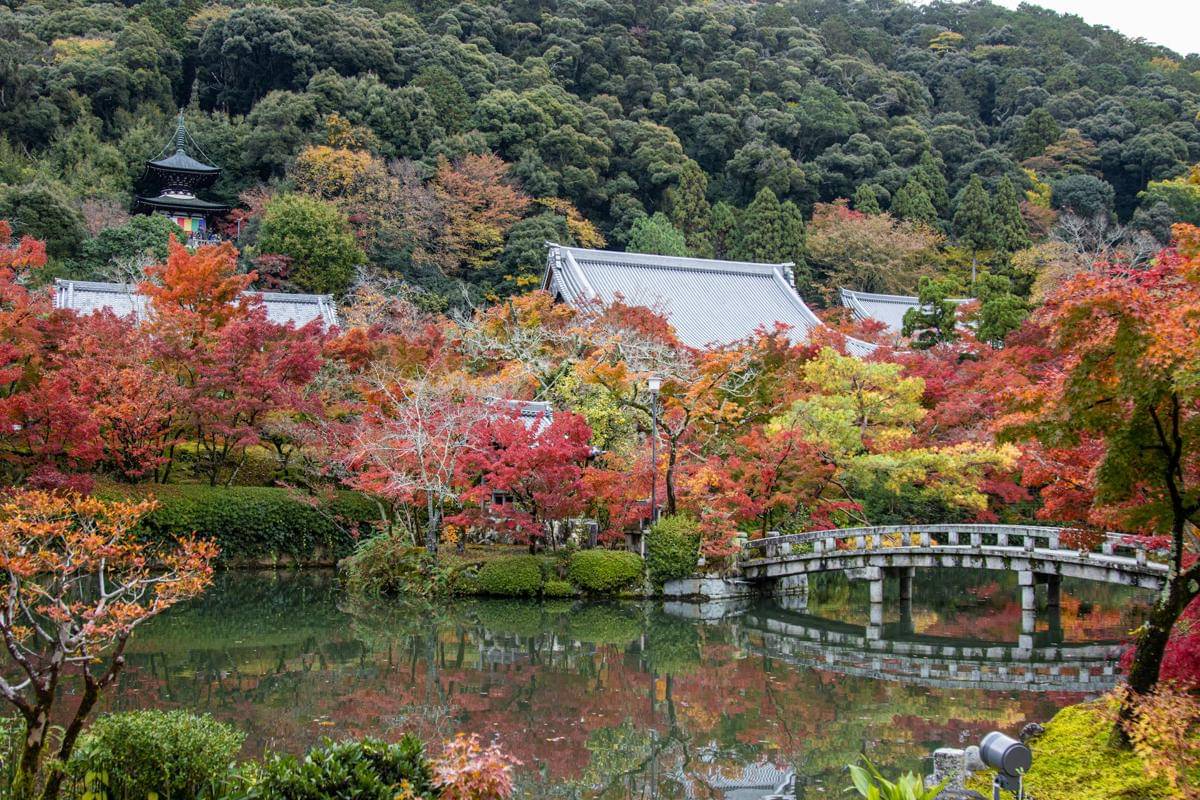 potret musim gugur di Jepang