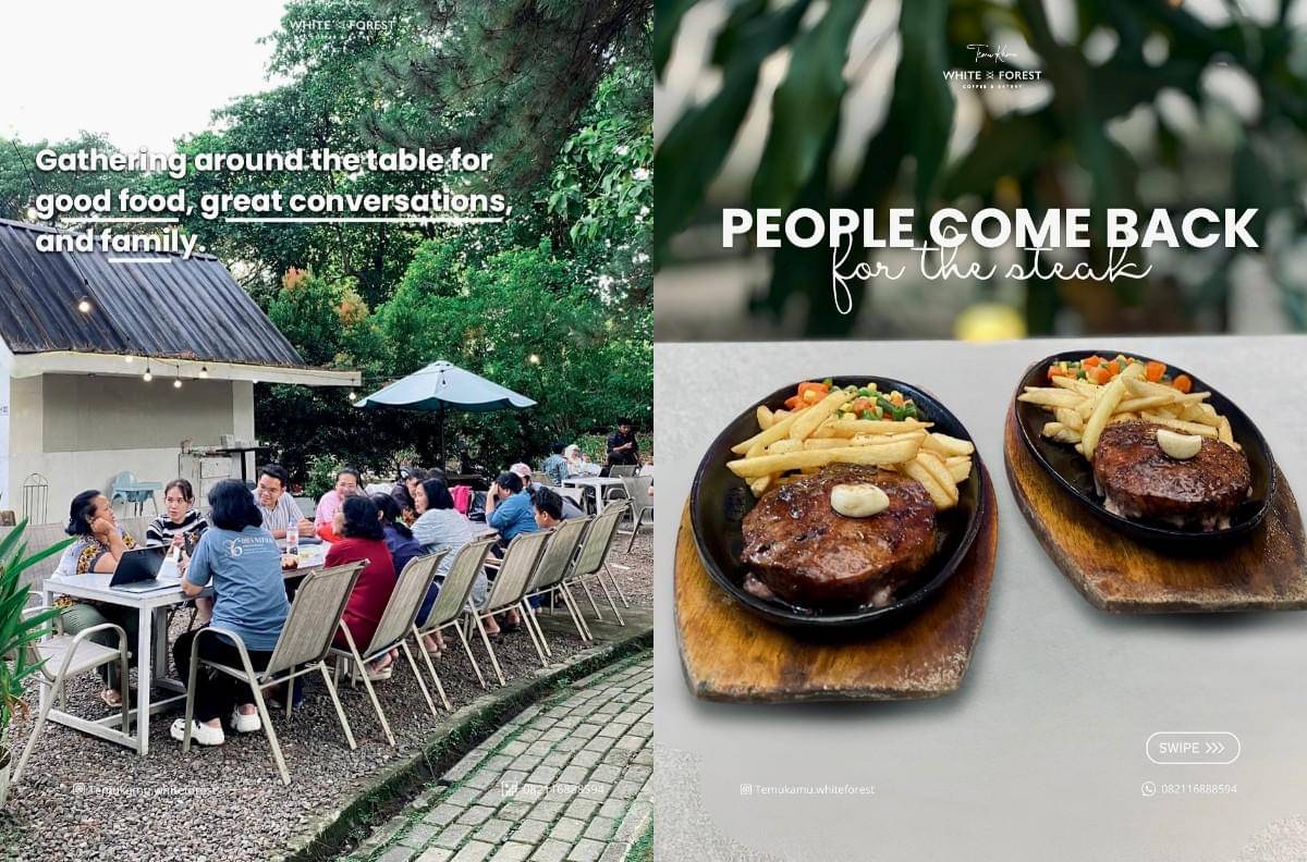 Temu Kamu White Forest