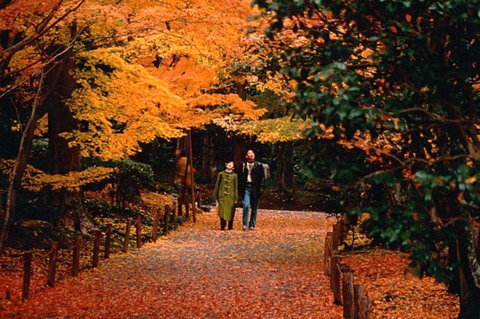potret musim gugur di Jepang