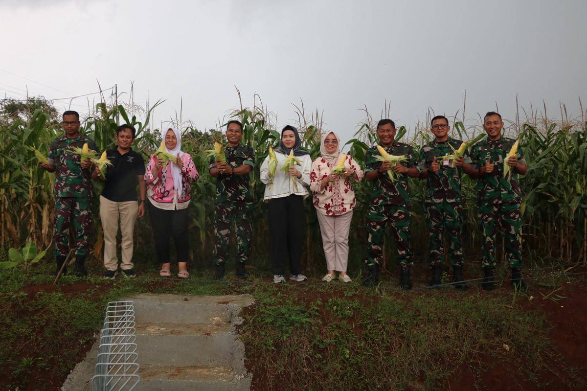 TNI AU panen jagung di Bogor