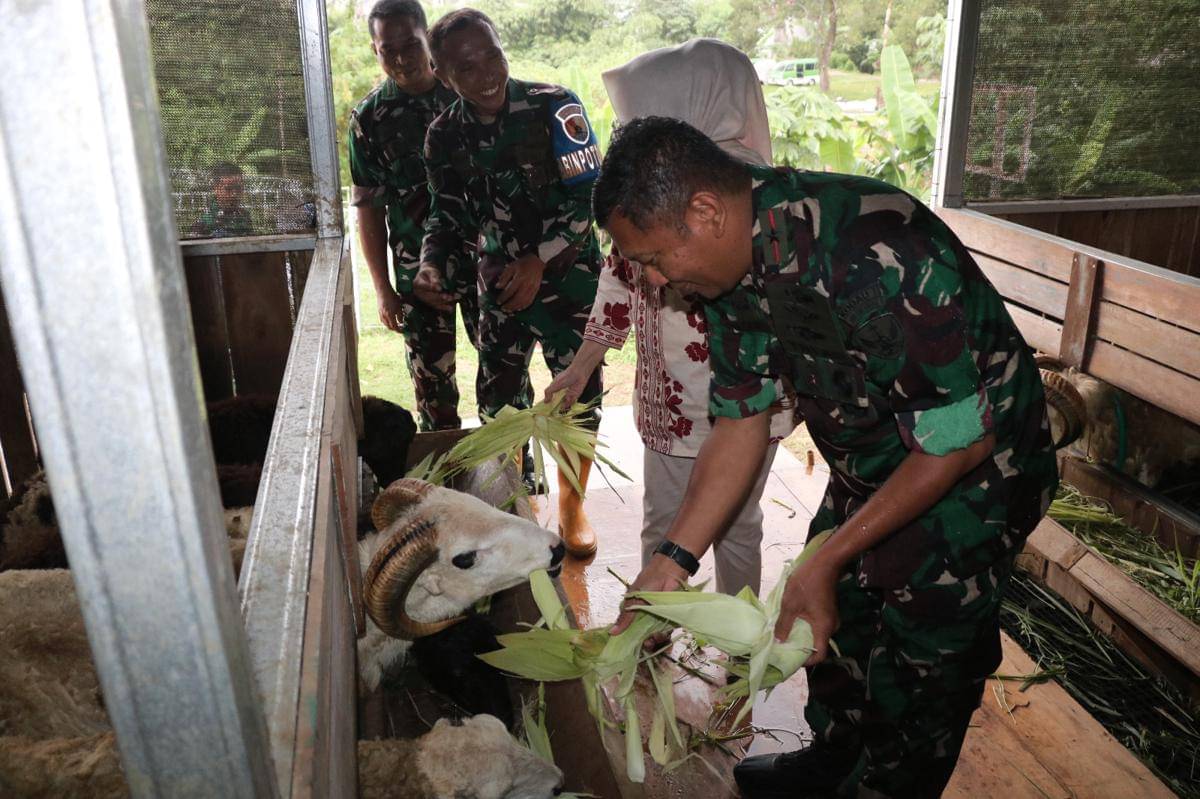 TNI AU panen jagung di Bogor