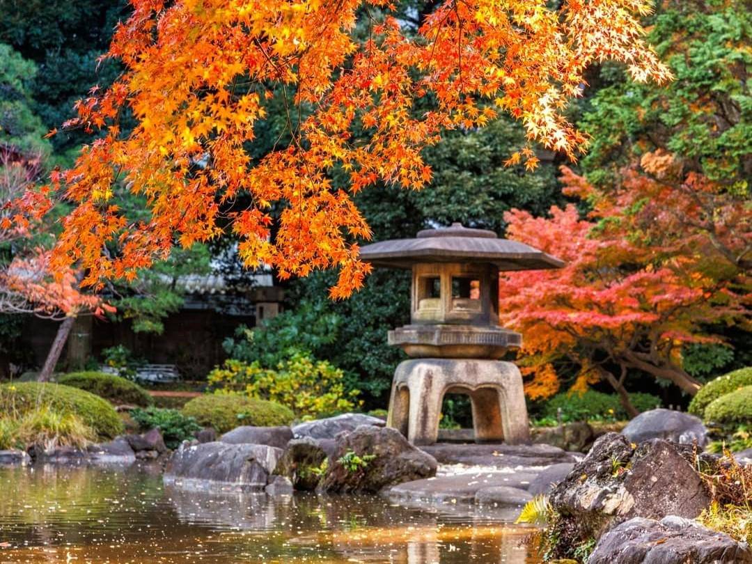 Kyu-Furukawa Gardens