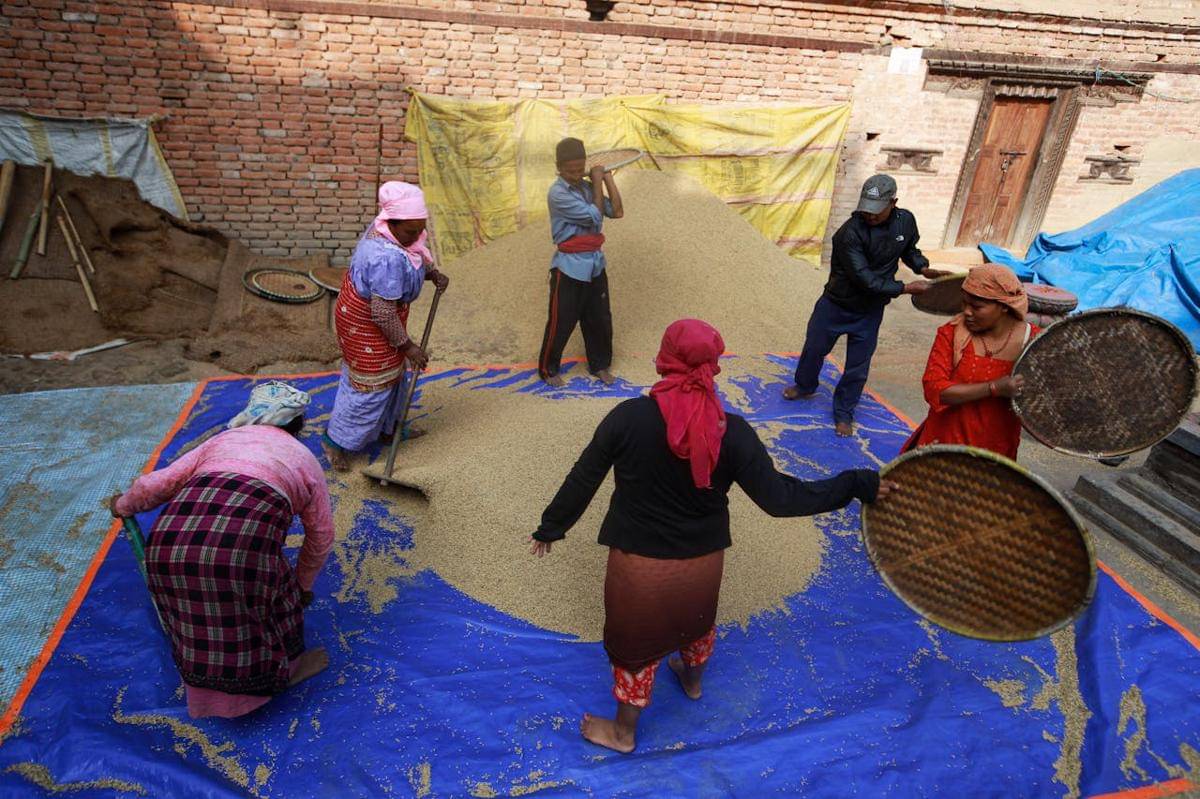 ilustrasi para petani yang sedang bekerja