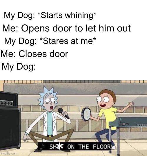 meme kartun tentang hewan peliharaan