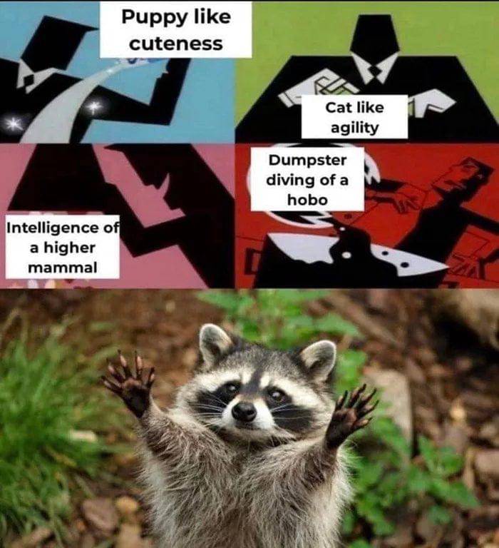 meme kartun tentang hewan peliharaan