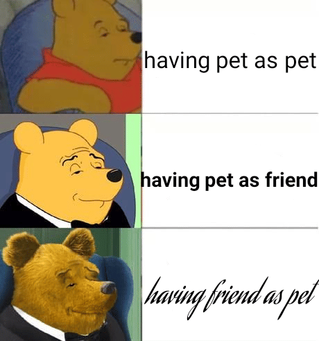 meme kartun tentang hewan peliharaan