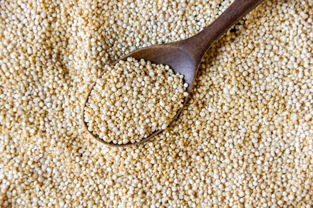 ilustrasi quinoa