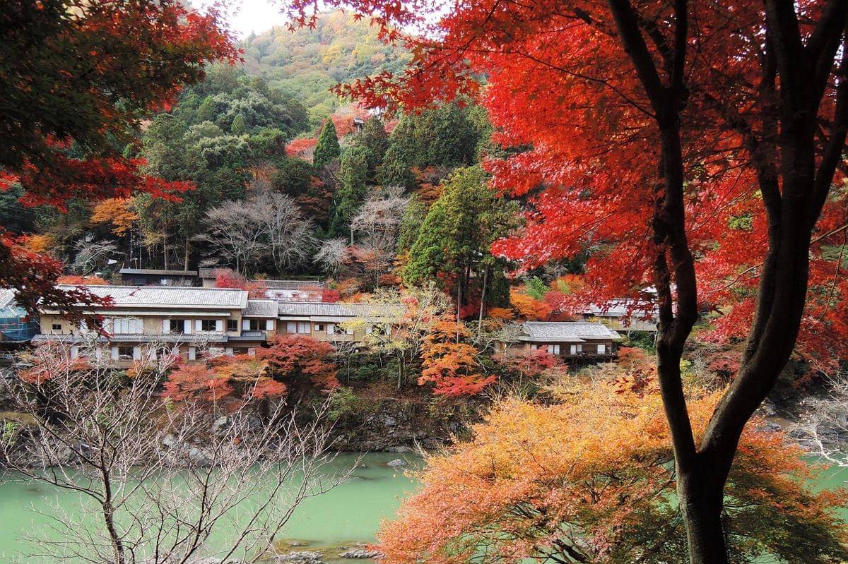 ilustrasi Arashiyama 