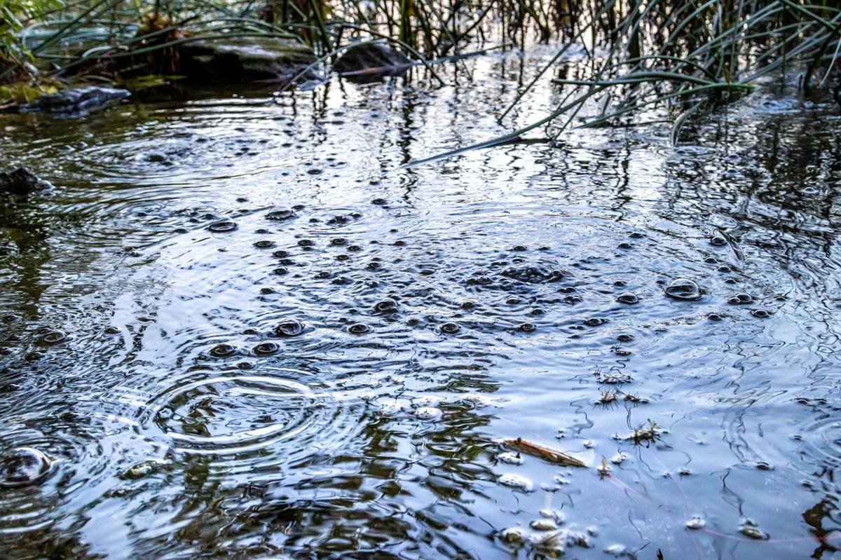 ilustrasi gelembung gas karbon dioksida