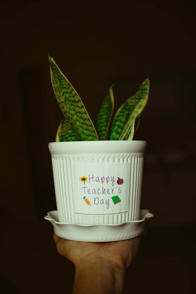 ilustasi hadiah Hari Guru