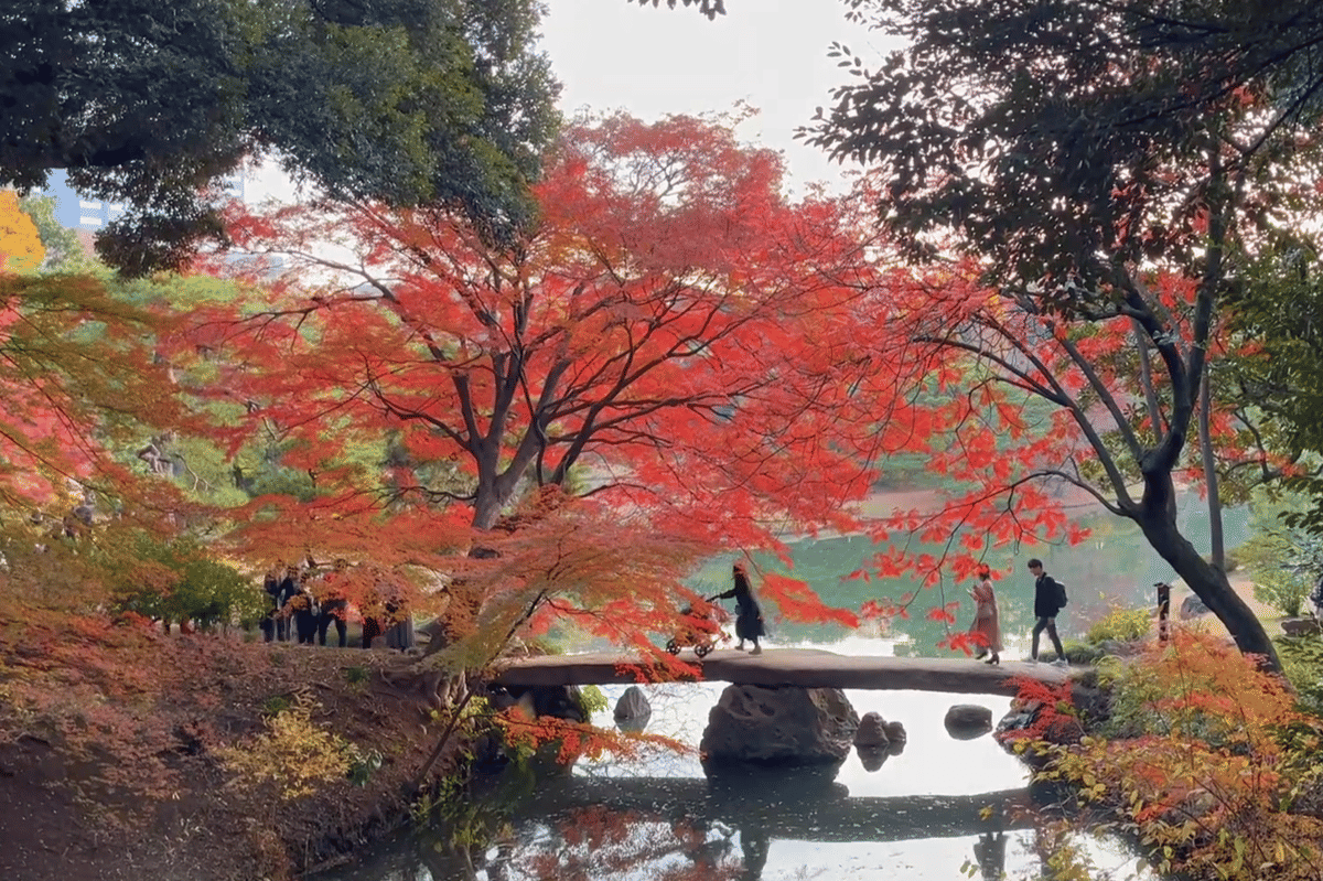 ilustrasi Rikugien Park 