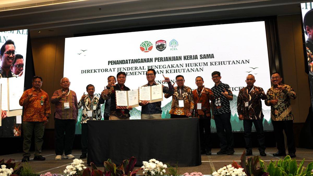 Hakim Penindak Kejahatan Kehutanan Harus Bebas dari Intimidasi