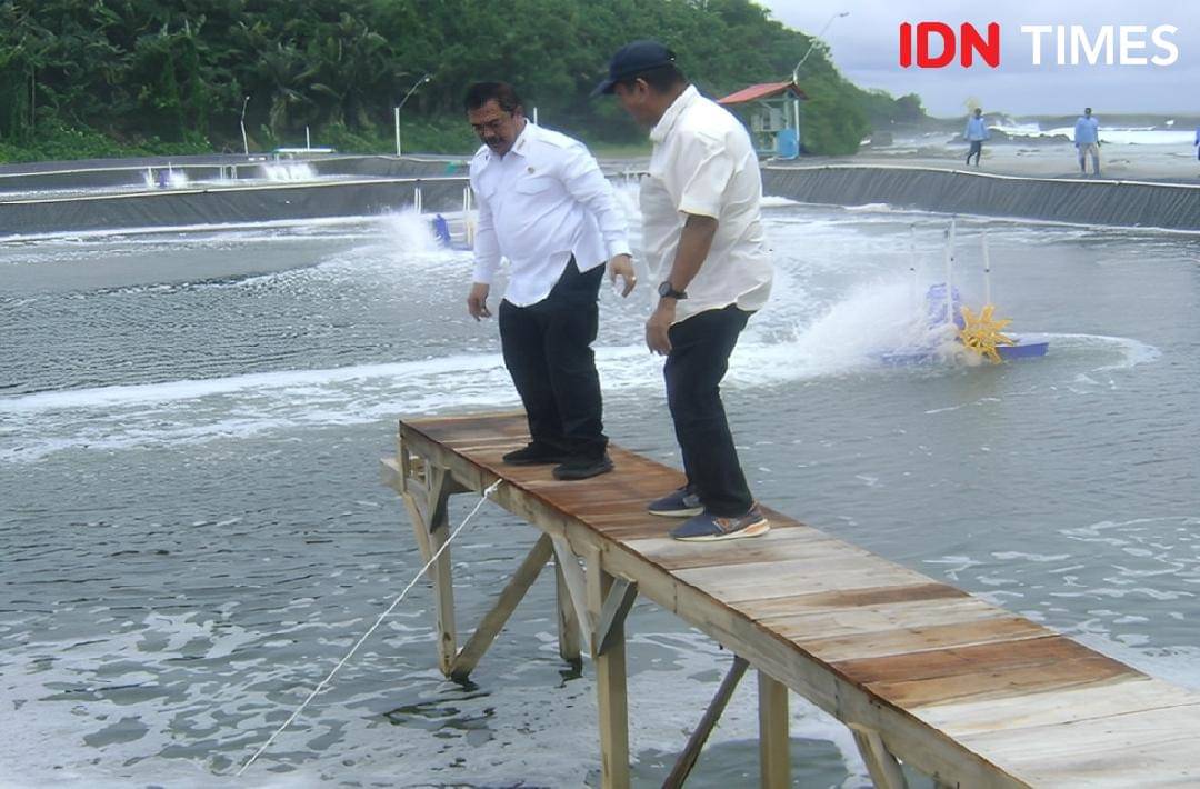 Menteri Imigrasi dan Pemasyarakatan RI Agus Andrianto (kiri) dan Wamen PANRB Purwadi Arianto saat berada di tambak udang vamare di Pasir Putih Nusakambangan, Rabu (5/11/2025).(IDN Times/Cokie Sutrisno)