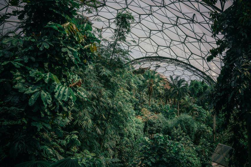 Eden Project berkonsep ramah lingkungan