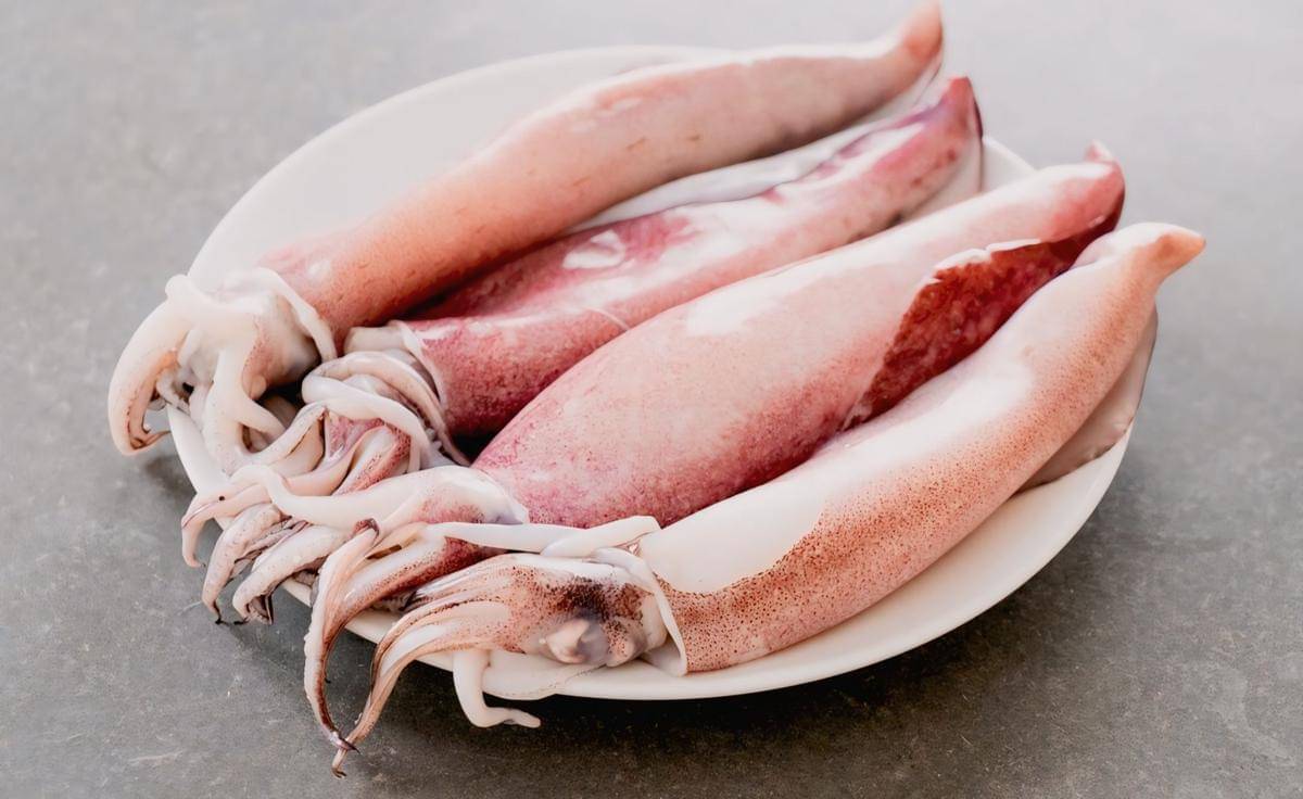 ilustrasi cumi-cumi mentah