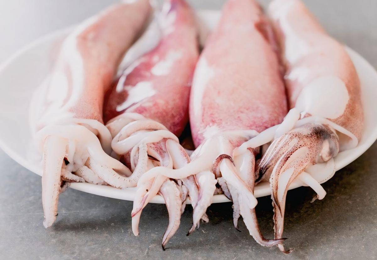 ilustrasi cumi-cumi yang sudah dicuci