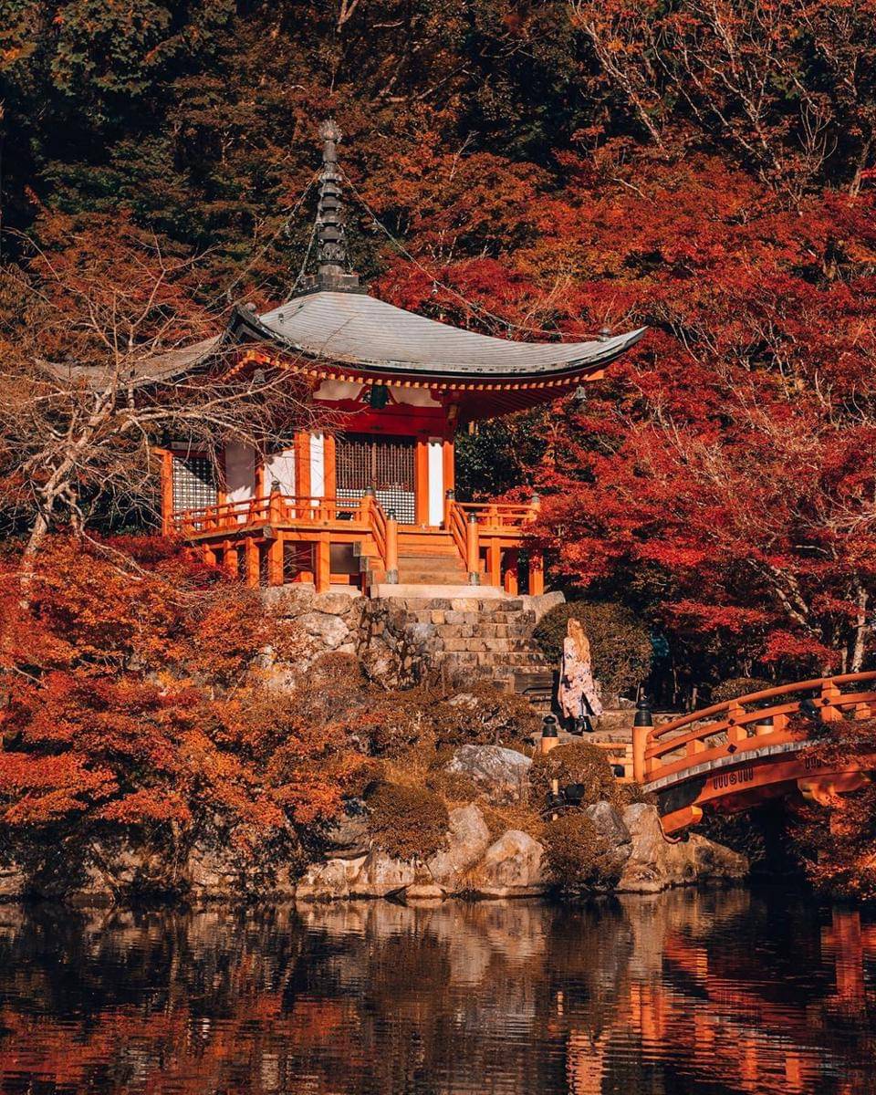 ilustrasi pemandangan di Koishikawa Korakuen Garden 