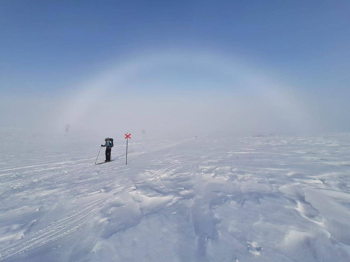 Fogbow