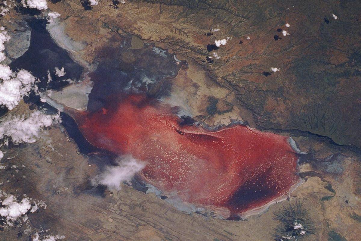 potret Danau Natron dari satelit