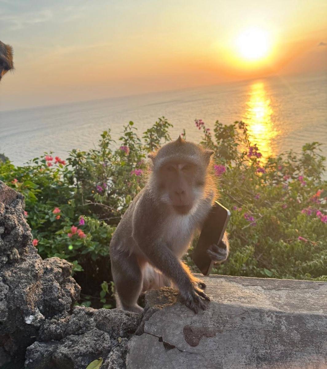 potret liburan Choo Young Woo di Bali