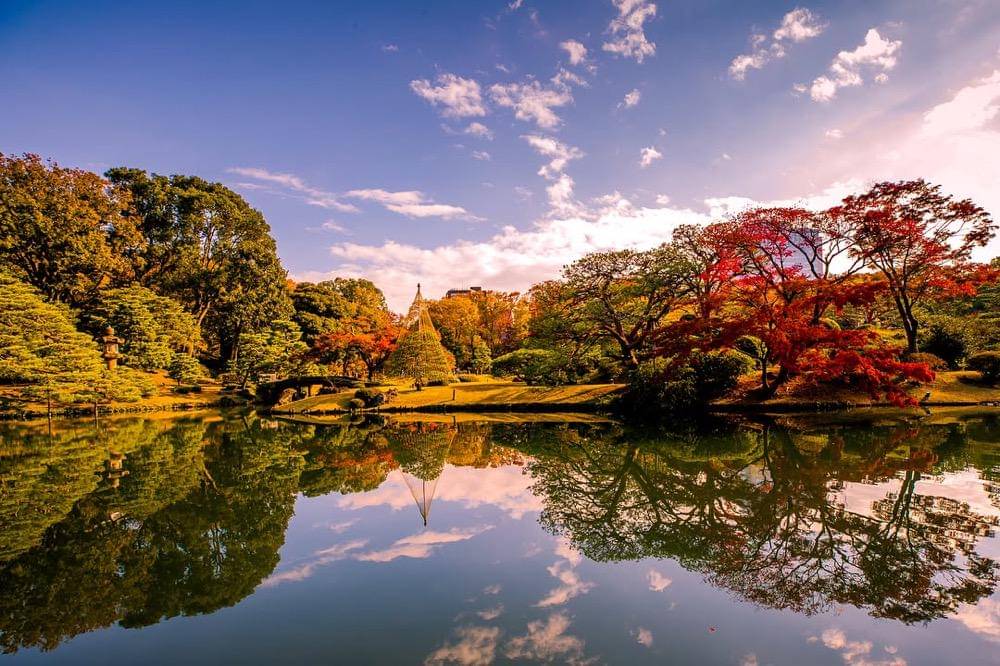 ilustrasi pemandangan di Rikugien Garden