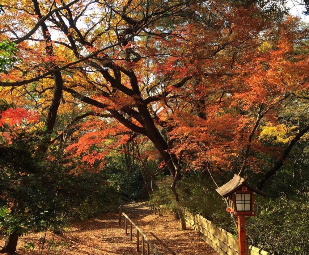 ilustrasi pemandangan di Todoraki Valley