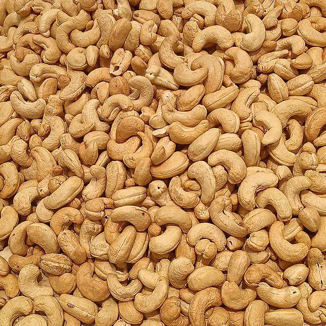 ilustrasi kacang mede