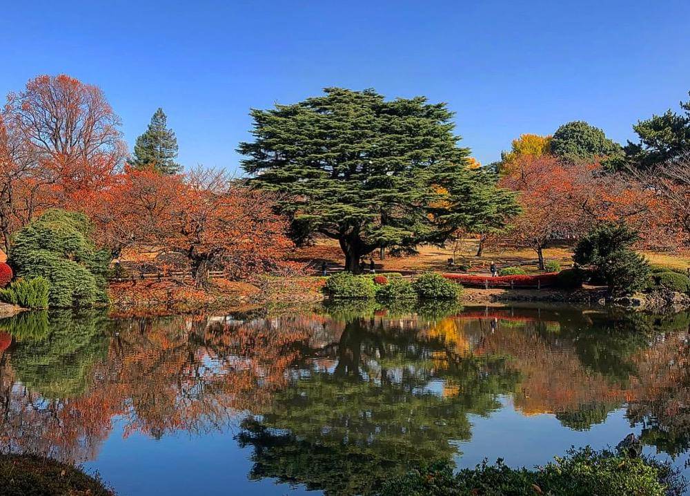 ilustrasi pemandangan di Shinjuku Gyeon