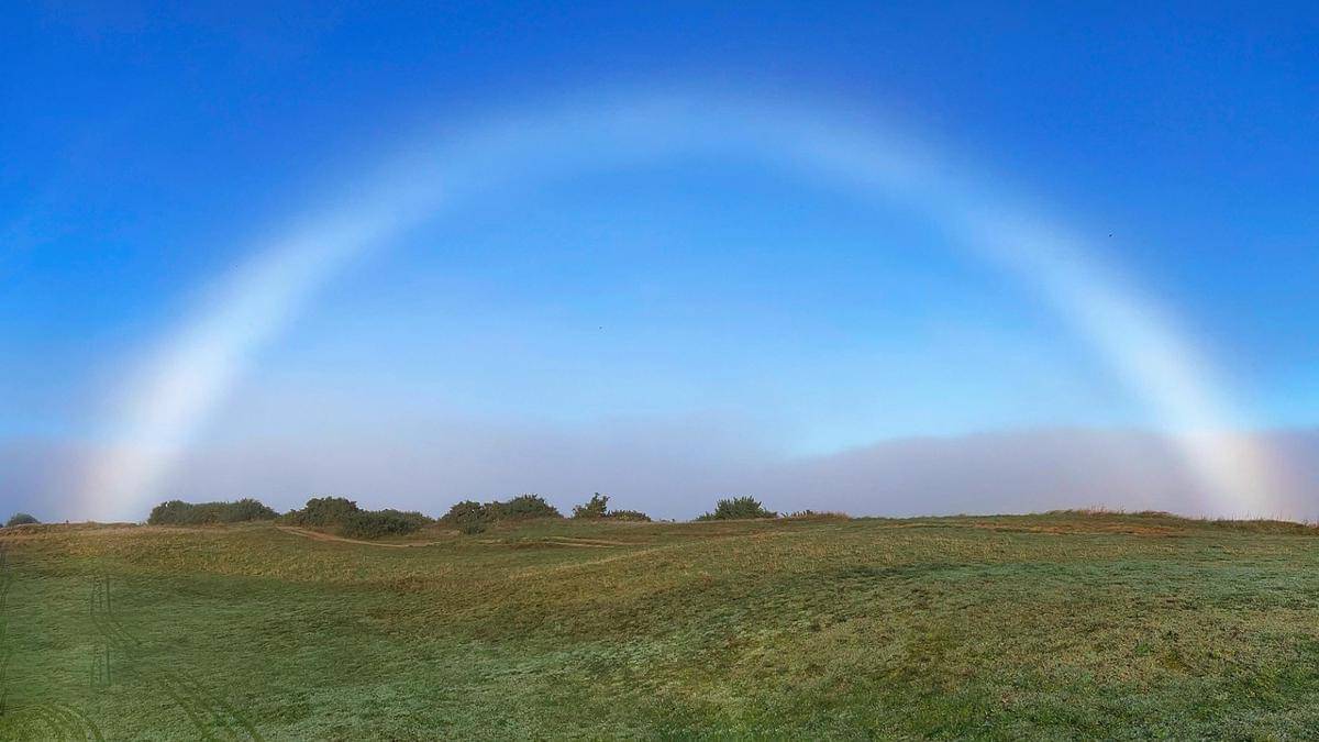 Fogbow