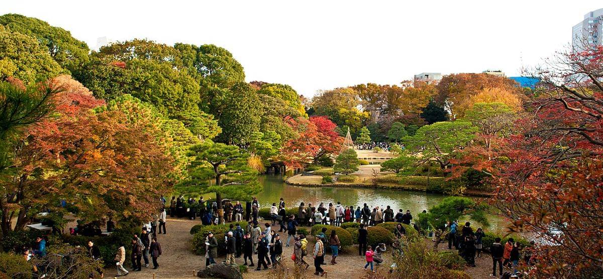momen kecil di musim gugur Jepang yang bikin jatuh cinta