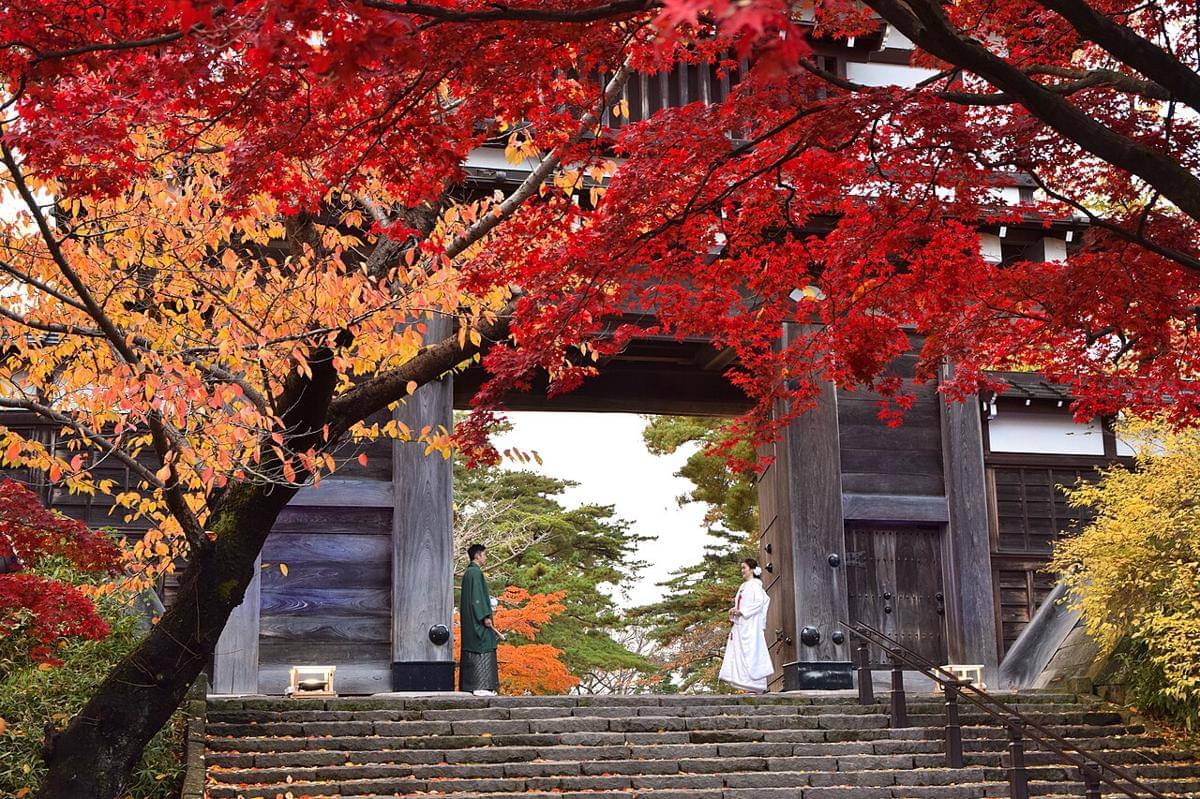 momen kecil di musim gugur Jepang yang bikin jatuh cinta