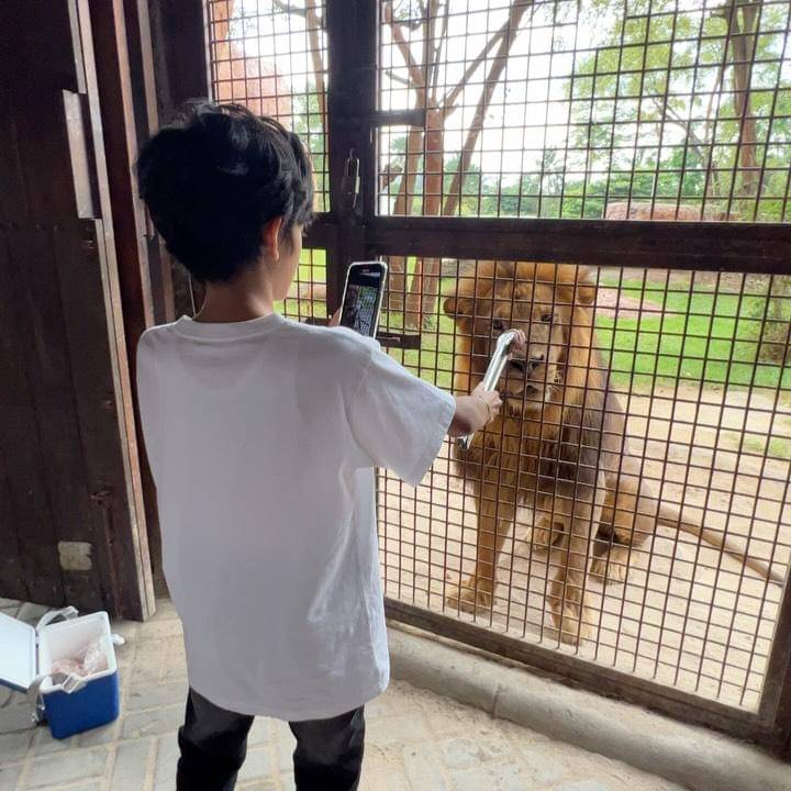 Faby Marcelia ajak anak ke Bali Zoo