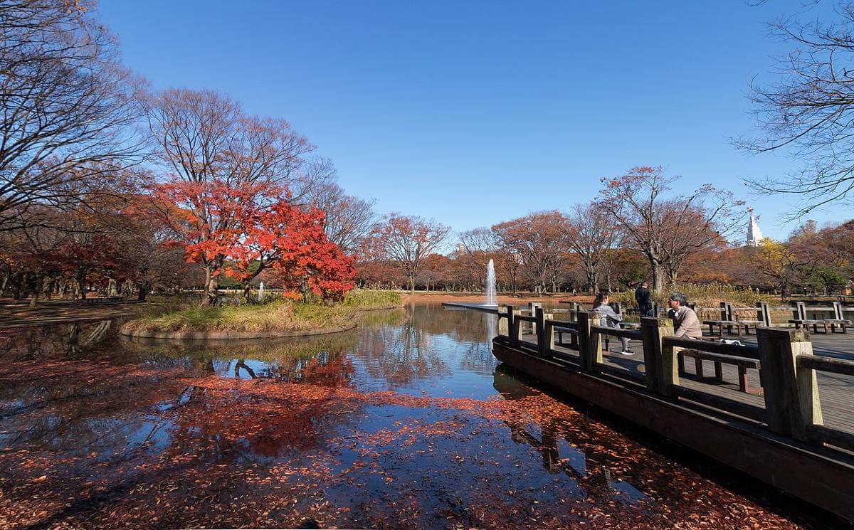Yoyogi Park
