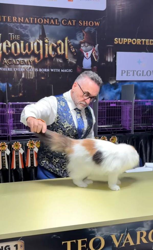 Uya Kuya ikut kejuaraan kucing