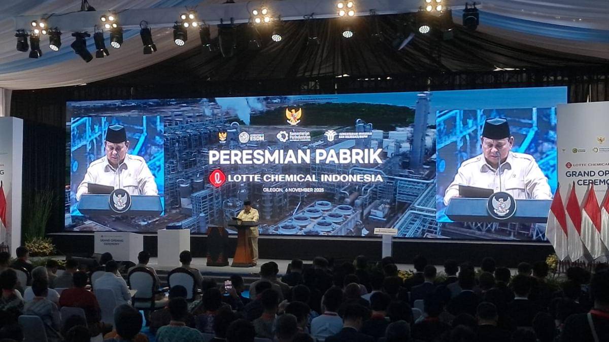 WhatsApp Image 2025-11-06 at 11.32.36 (1).jpeg