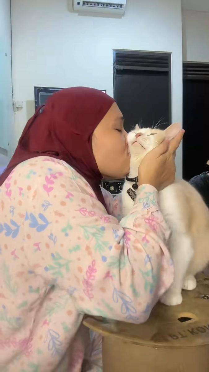 Pororo si kucing viral (instagram.com/lxx_pororo)