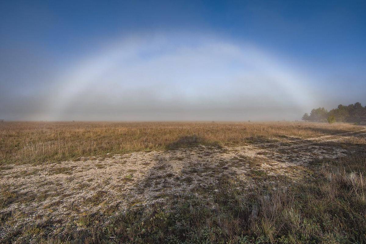 Fogbow