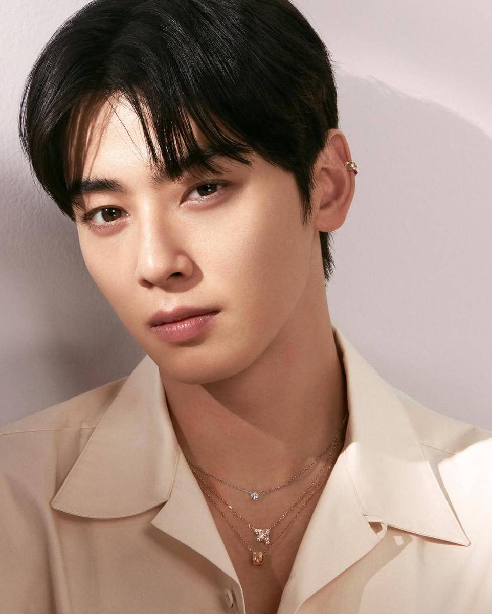 potret Cha Eun Woo