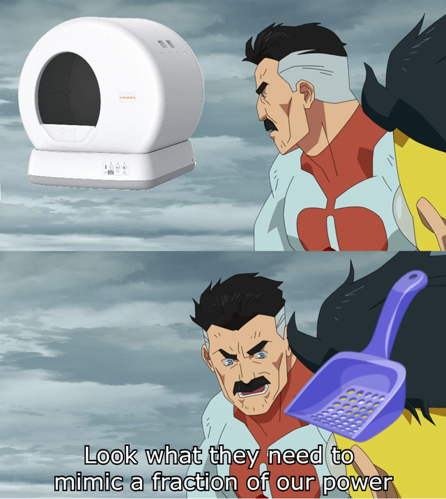 meme kucing tentang kotak pasir