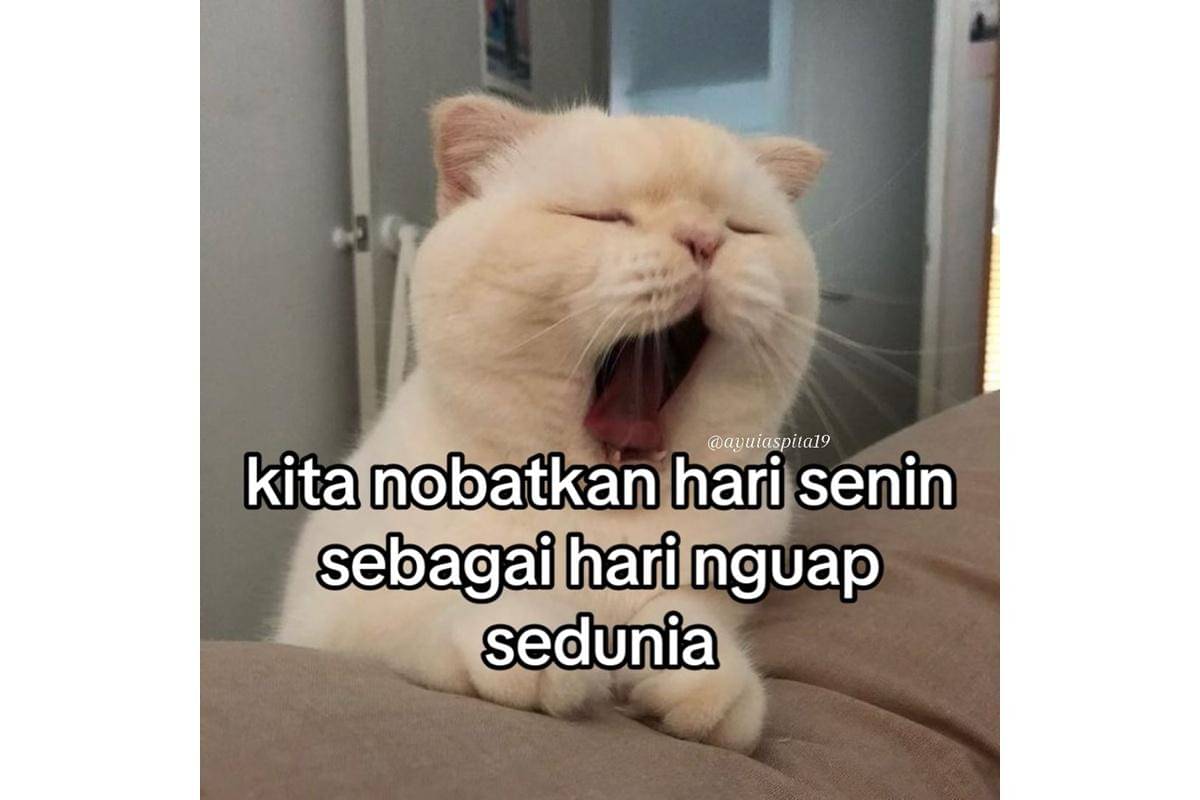 meme males ketemu hari senin (x.com/ayyuaspita19)